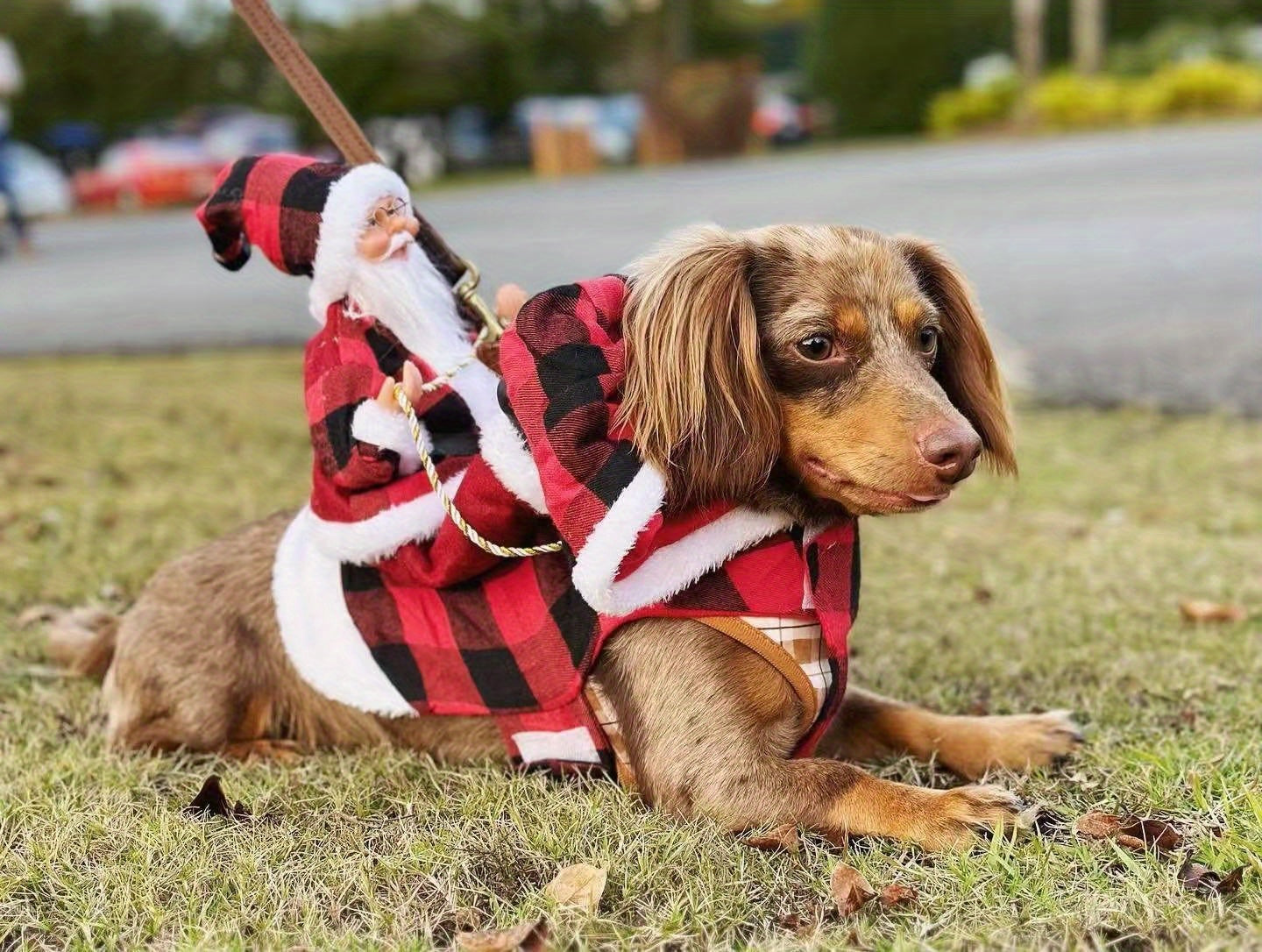 Dog & Cat Christmas Costume - Santa Claus Riding Hooded Coat with Plaid Winter Outfit, Magic Tape Closure, Soft Xmas Dog Clothes for Medium Dogs & Cats, Holiday Party Attire & Pet Photo Shoots