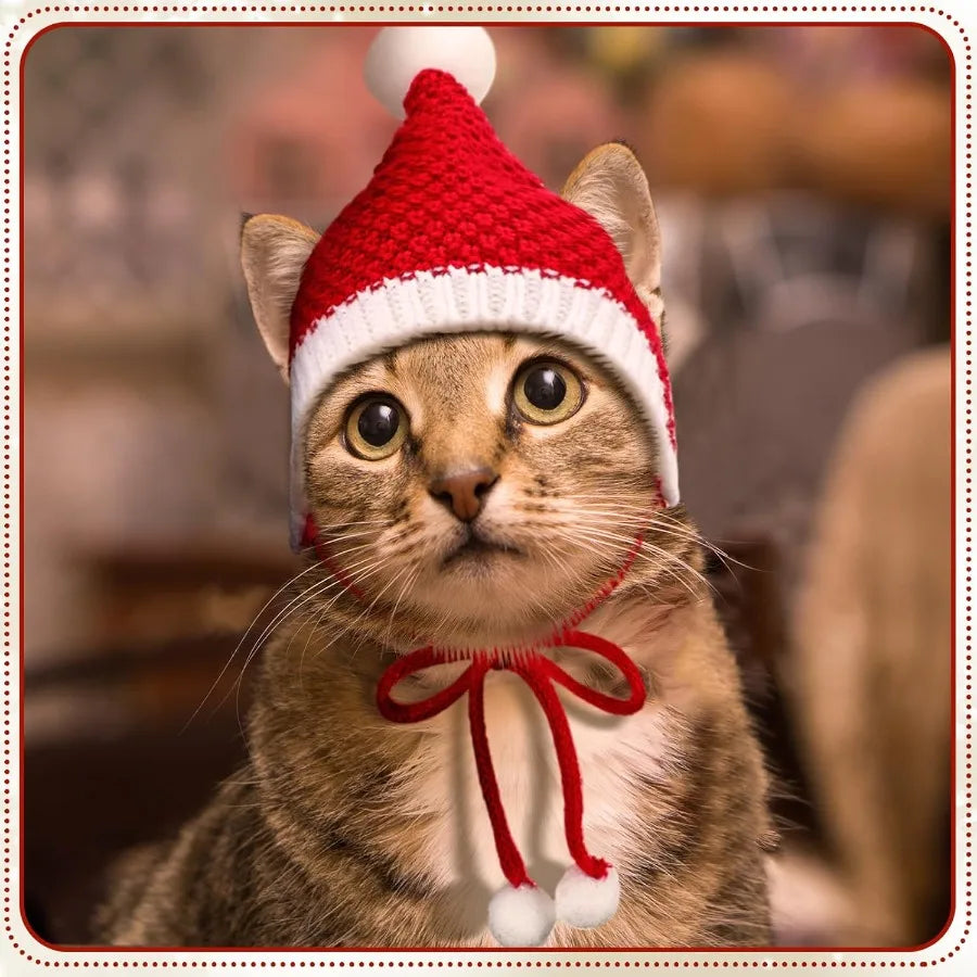 4 Pack Christmas Knitted Dog Santa Hats Bulk Pet Crochet Dog Hats Halloween Christmas Costume Outfit Cap Warm Winter Puppy Cats