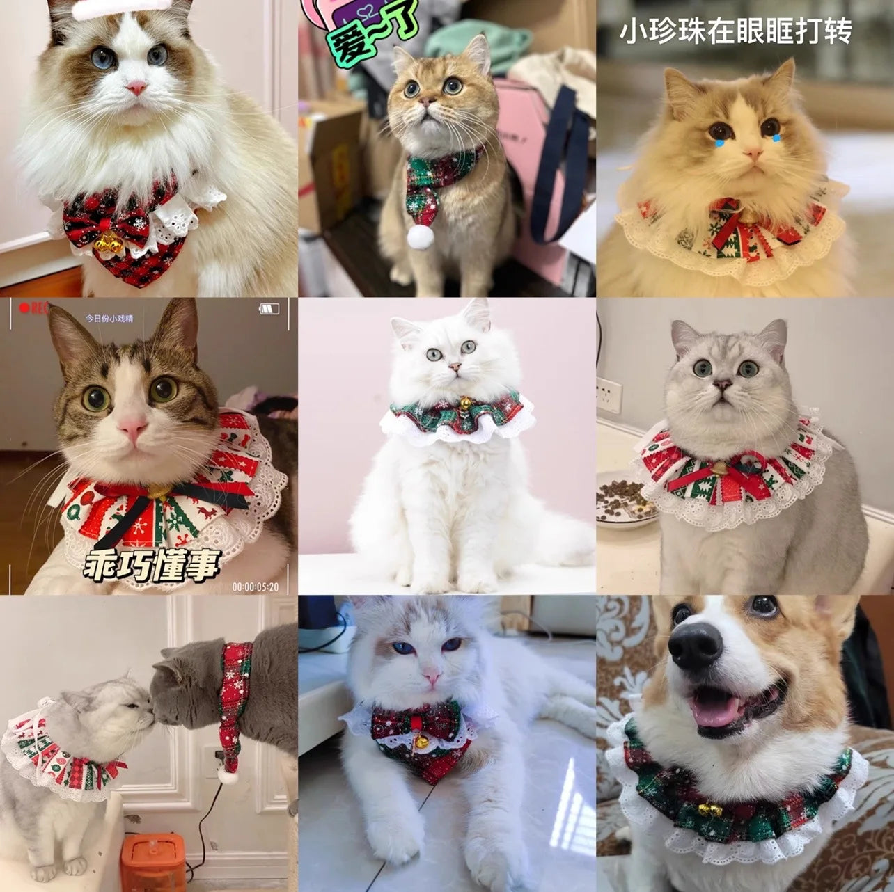 Pet Christmas Tie Bib Drool Towel Christmas Plaid Snowflake Triangle Scarf Bell Decoration Dog Accessories for Small Dogs Puppy