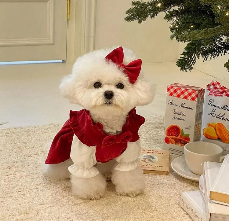 Puppy Bow Knot Dress Set Winter Warm Dog Clothes Pet Christmas Princess Dress Teddy Solid Color Skirt Send Clip