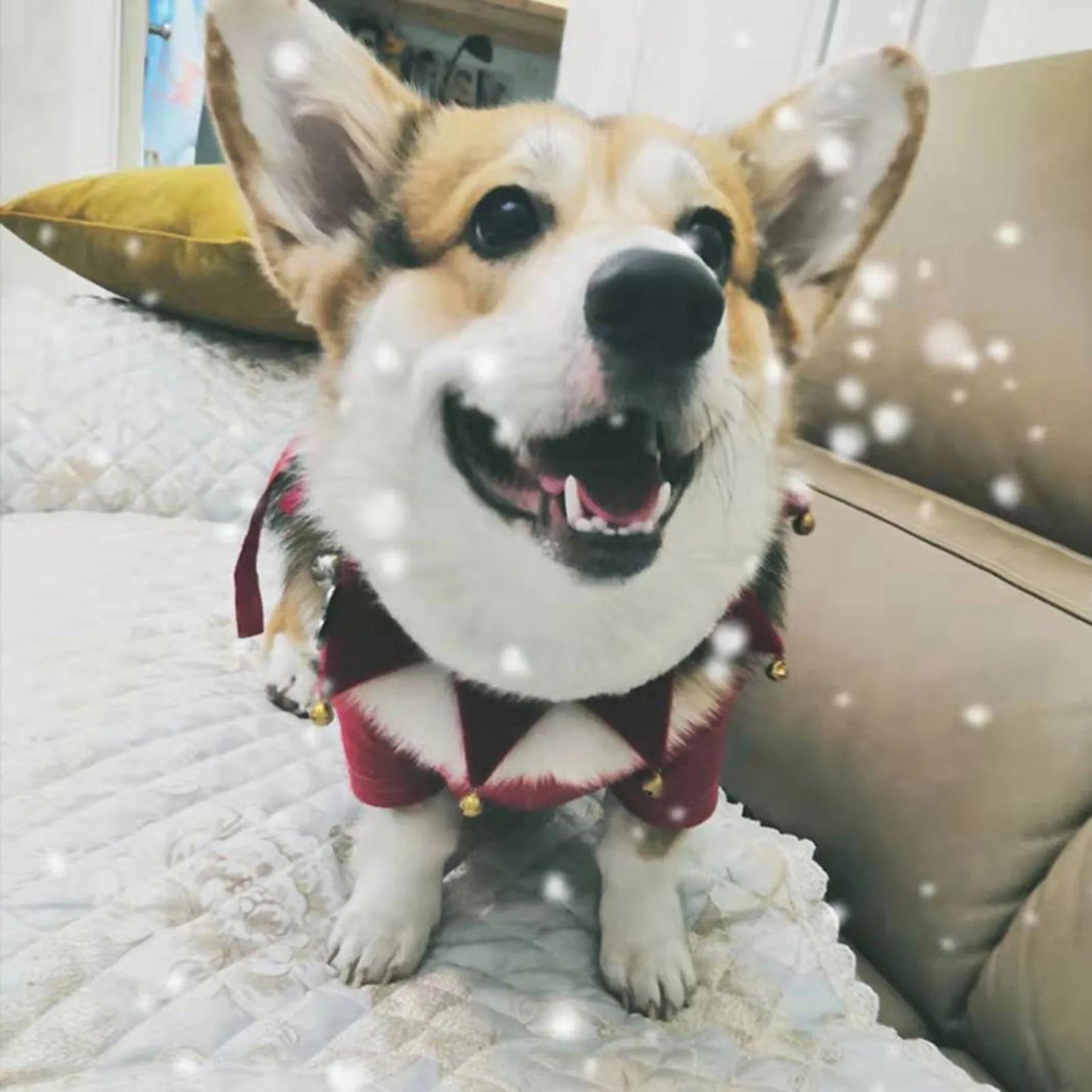 Christmas Dog Scarf With Classic Festive Jingle Bell Dog Collar Suitable Pet Plush Triangular Towel For New Year Photo Shoots