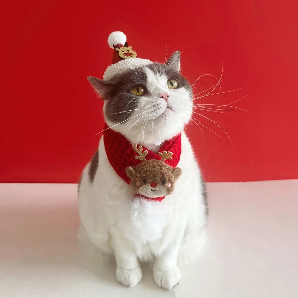 Christmas Cat Hat Cat Knitted Scarf Set Soft Winter Christmas Soft Santa Claus Costume Scarf For Dog Cats Pet Xmas Cat Supplies