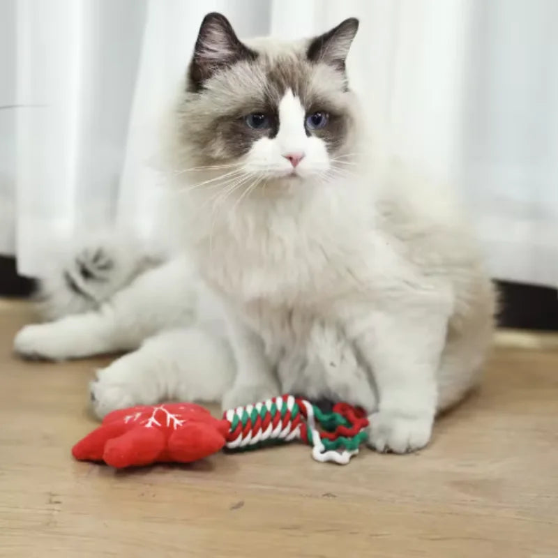 Pets Christmas Supplies Dog Squeakey Chew Toys Cotton Ropes Knot Molar Bite Toy Funny Cute Puppies Interactive Toy Xmas Gift