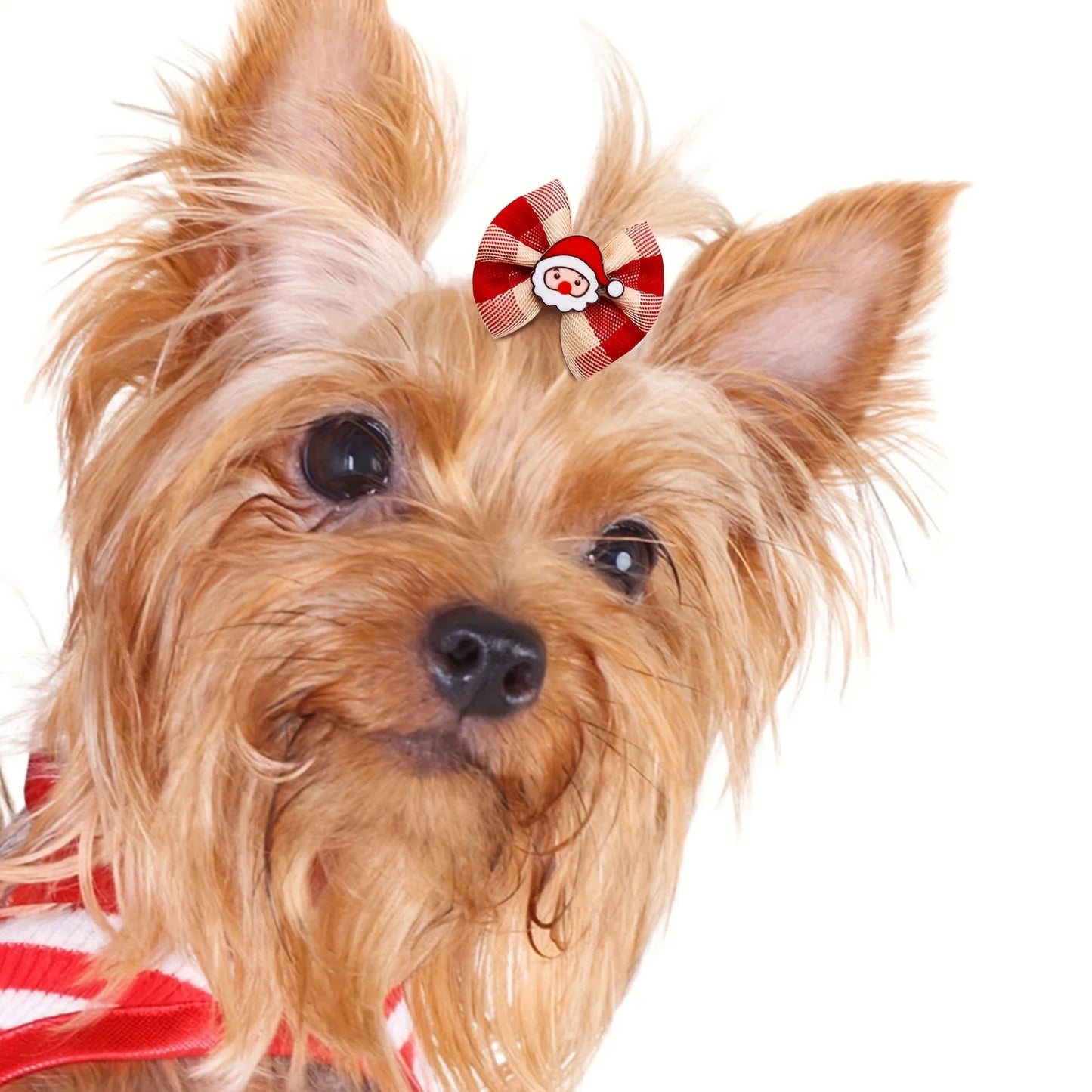 Christmas Pet Hair Bows, 5Pcs Random Style Dog Hair Clips with Santa Snowman Prints, Festive Pet Grooming ，Small Dog and cat