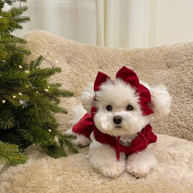 Puppy Bow Knot Dress Set Winter Warm Dog Clothes Pet Christmas Princess Dress Teddy Solid Color Skirt Send Clip