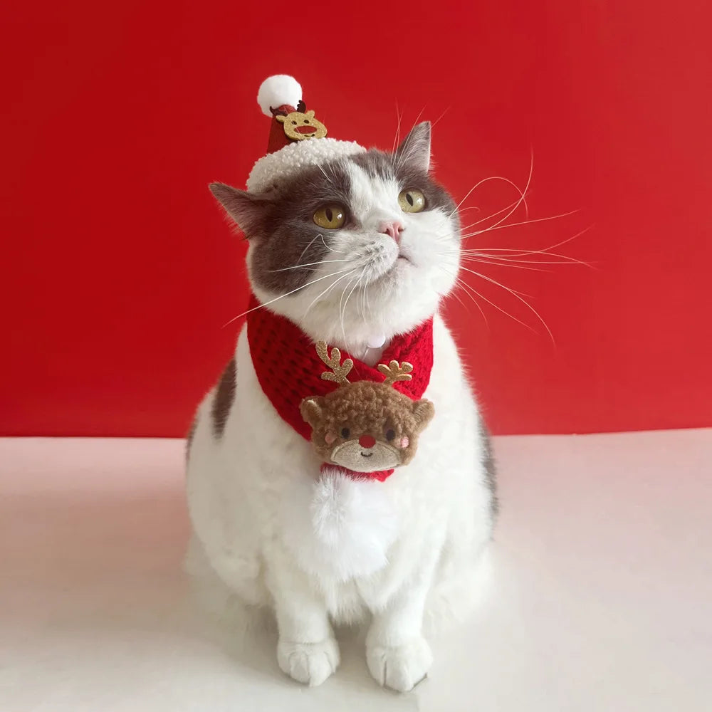Christmas Cat Hat Cat Knitted Scarf Set Soft Winter Christmas Soft Santa Claus Costume Scarf For Dog Cats Pet Xmas Cat Supplies