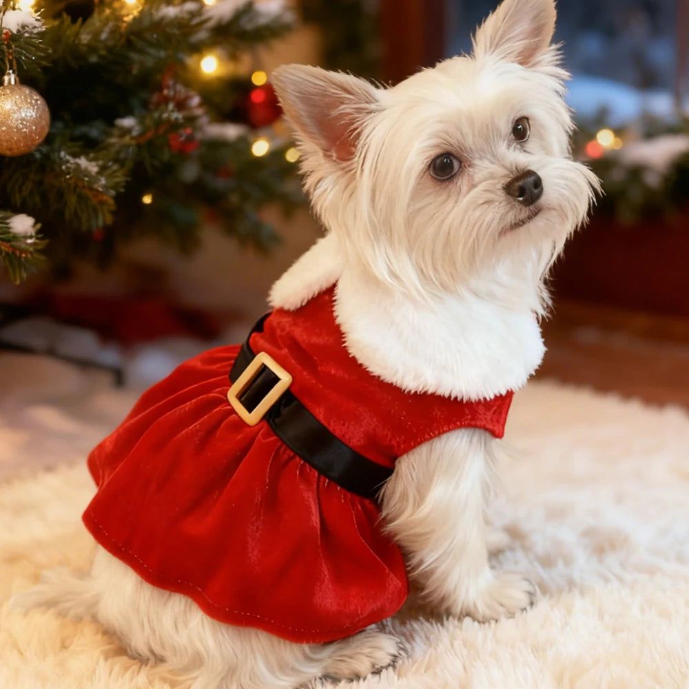 Cute Pet Dresses Christmas Festival Party Costume For Small Dogs Cats Red Princess Skirt Gifts Yorkshire French bulldog Clothes