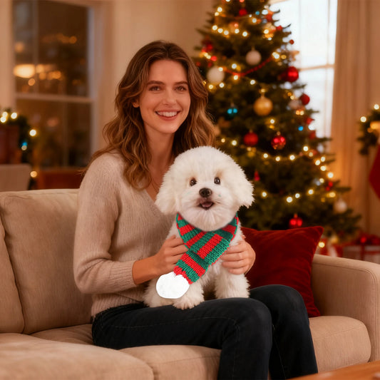 Pet Christmas Cape Cloak Pet Christmas Scarf Holiday Set Dog Transformation Outfit Christmas Costume For Small Dogs Pet Costume