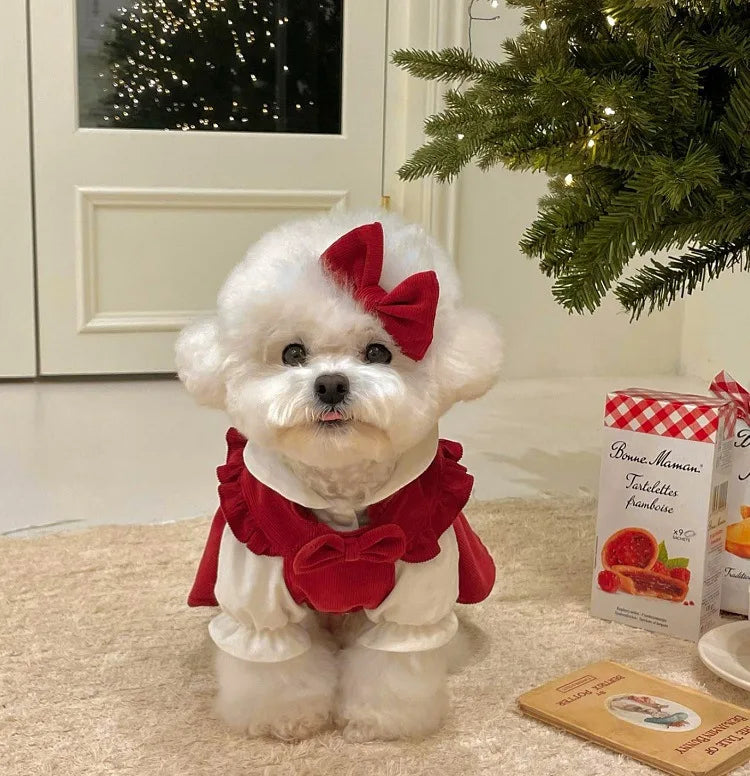 Puppy Bow Knot Dress Set Winter Warm Dog Clothes Pet Christmas Princess Dress Teddy Solid Color Skirt Send Clip
