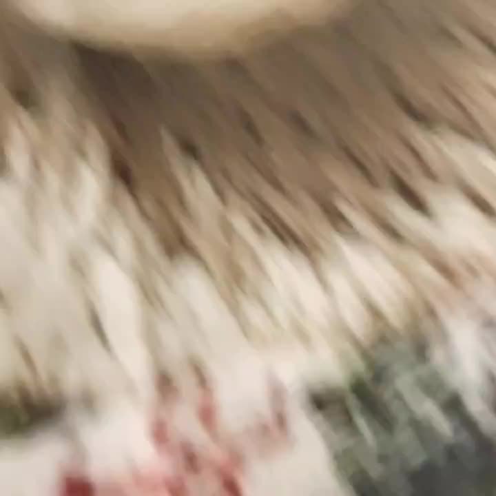 Christmas Reindeer Throw Pillow Cover – 45×45 cm Soft Plush Holiday Décor